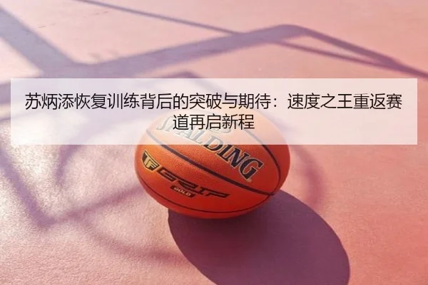 苏炳添恢复训练背后的突破与期待：速度之王重返赛道再启新程