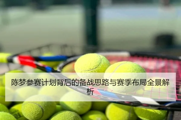 陈梦参赛计划背后的备战思路与赛季布局全景解析