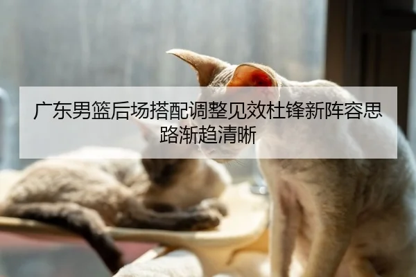 广东男篮后场搭配调整见效杜锋新阵容思路渐趋清晰